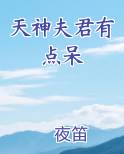 天神夫君有点呆